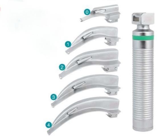 动物专用喉镜 动物专用喉镜