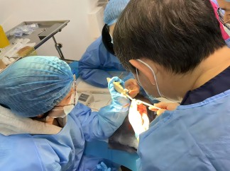 北京巴斯得动物多普勒血流仪助力宠物医师网异宠爬行类实操培训第一天