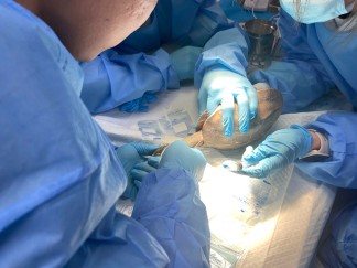 北京巴斯得动物多普勒血流仪助力宠物医师网异宠爬行类实操培训第三天