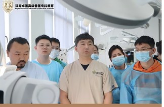 北京巴斯得仪器动物多普勒血流仪助力瑛宠卓医高级兽医专科教育，国际异宠高阶诊疗大师班.小型哺乳动物圆满成功