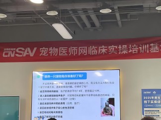 北京巴斯得动物多普勒血流仪助力宠物医师网异宠兔、鸟初中阶实操培训圆满成功