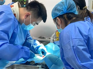 北京巴斯得动物多普勒血流仪助力宠物医师网异宠兔、鸟初中阶实操培训圆满成功