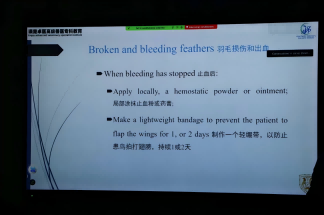 北京巴斯得仪器异宠动物多普勒血流仪助力瑛宠卓医高级兽医专科教育，国际异宠高阶诊疗大师班・鸟类课程