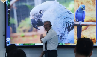 京巴斯得仪器异宠动物多普勒血流仪助力瑛宠卓医高级兽医专科教育，国际异宠高阶诊疗大师班・鸟类课程第二天