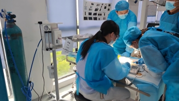 北京巴斯得仪器助力动物多普勒血流仪国际异宠高阶诊疗大师班.鸟类课程圆满成功