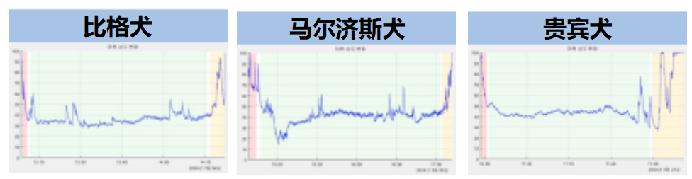 动物麻醉深度监测仪