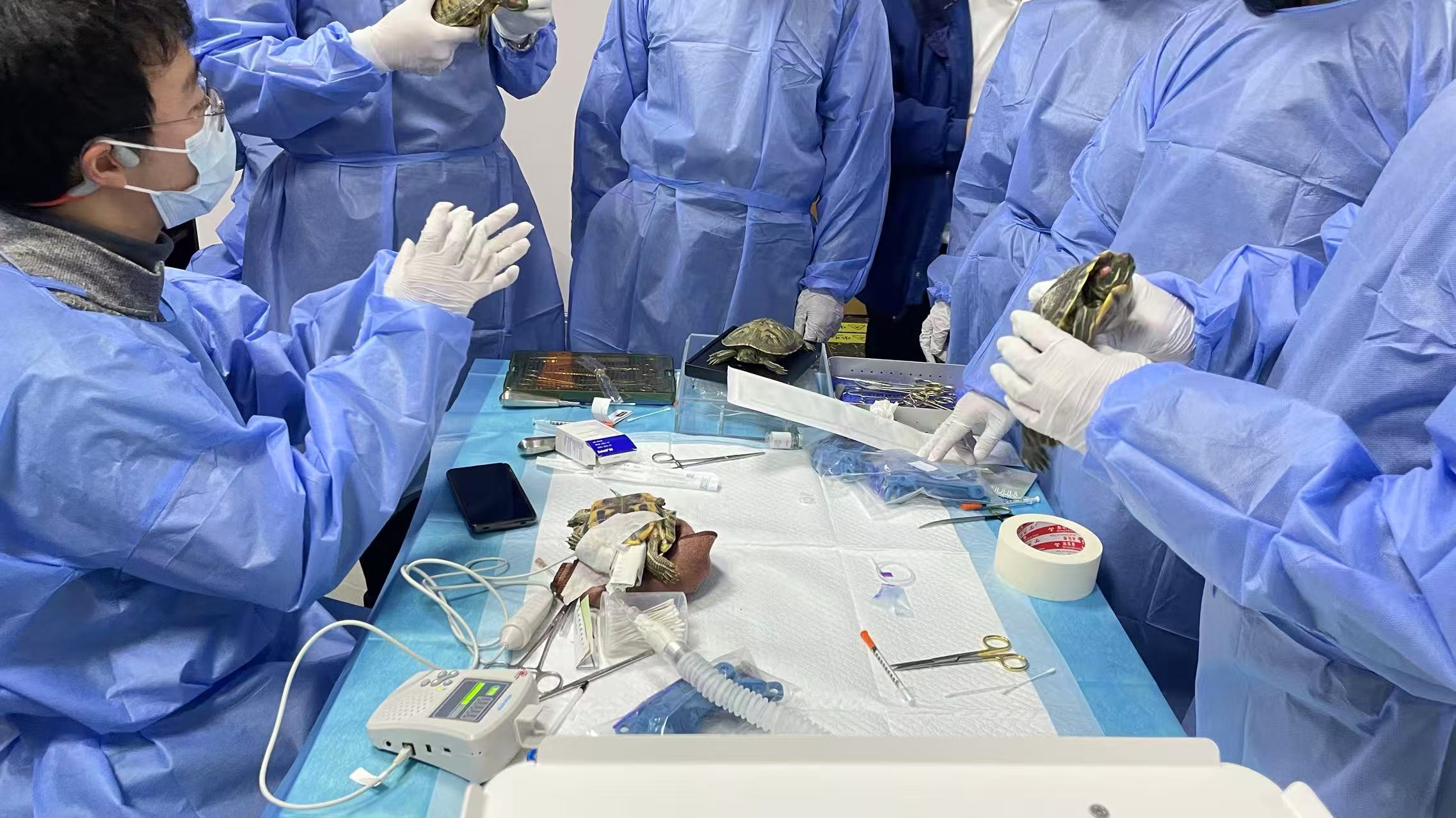 技术赋能，育见未来｜北京巴斯得动物多普勒血流仪助力潘氏兽医教育异宠爬行动物课程圆满成功