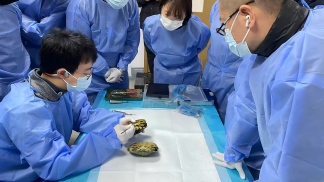 技术赋能，育见未来｜北京巴斯得动物多普勒血流仪助力潘氏兽医教育异宠爬行动物课程圆满成功