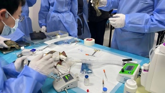 技术赋能，育见未来｜北京巴斯得动物多普勒血流仪助力潘氏兽医教育异宠爬行动物课程圆满成功