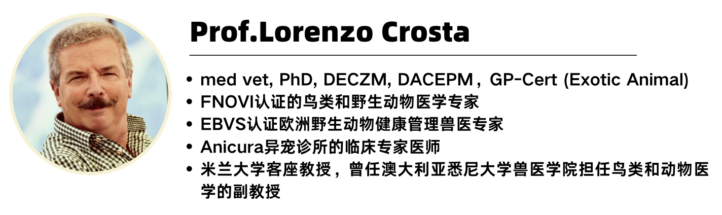 北京巴斯得仪器助力动物多普勒血流仪 国际鸟类诊疗高阶实操课程培训圆满落幕