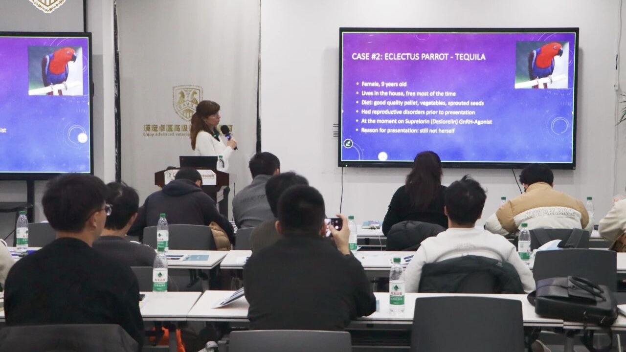 北京巴斯得仪器助力动物多普勒血流仪 国际鸟类诊疗高阶实操课程培训圆满落幕