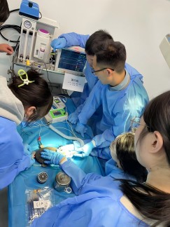 北京巴斯得动物多普勒血流仪助力宠物医师网异宠爬行类实操培训第四天