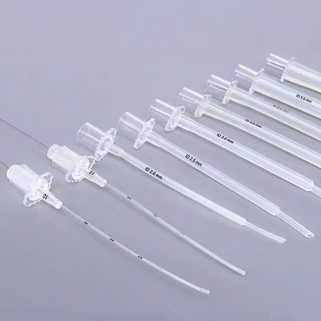 异宠鸟类气管插管