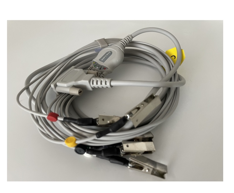 IVT-UN8003V+兽用心电图机