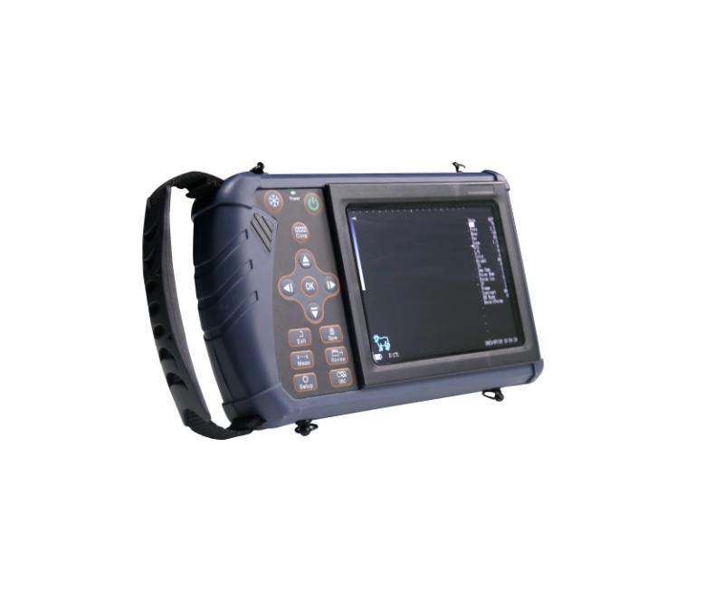 IVT-S1兽用超声诊断仪