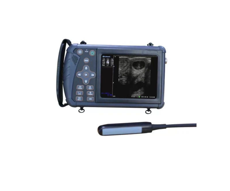 IVT-S1兽用超声诊断仪