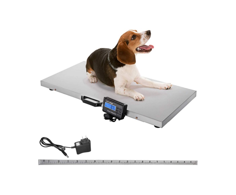 IVT-WBY-L动物秤