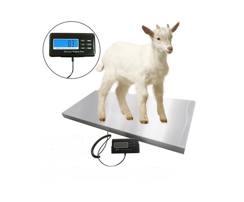 IVT-WBY-L动物秤