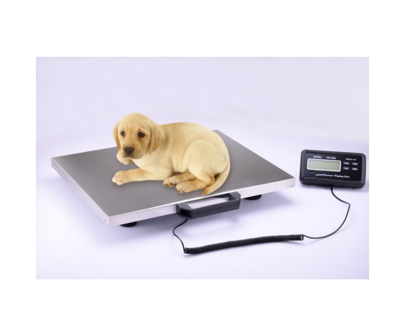 IVT-WBY-2动物秤