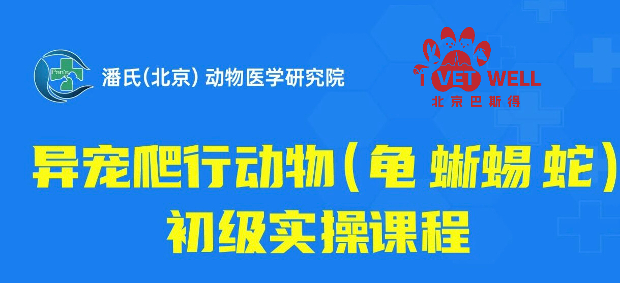 北京巴斯得动物多普勒血流仪助力潘氏（北京）动物医学院研究 异宠爬行动物初级实操培训