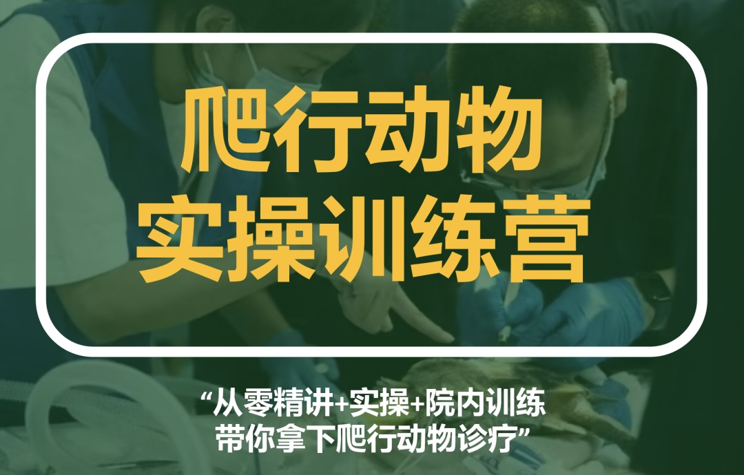 北京巴斯得动物多普勒血流仪助力成都威狼兽医教育，异宠爬行动物实操训练营课程培训