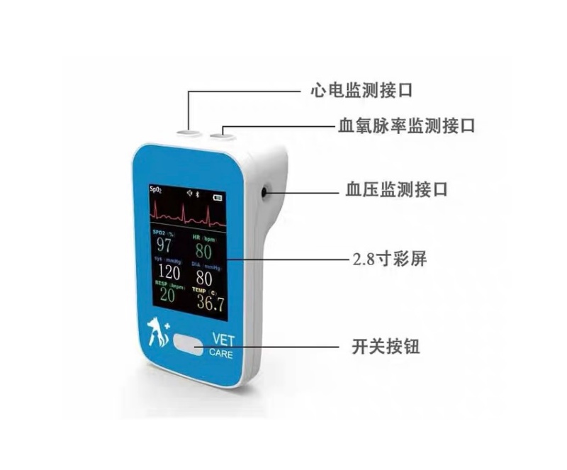 IVE-MA6200小动物多参数监护仪