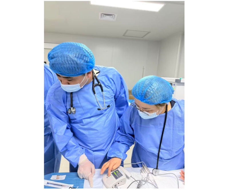 BSD-3000D多普勒血流仪